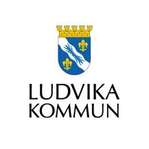 1. Historik bakgrund Historia Ludvika stad: Bergshanteringen i Sverige och Ludvikabygden har en månghundraårig historia.