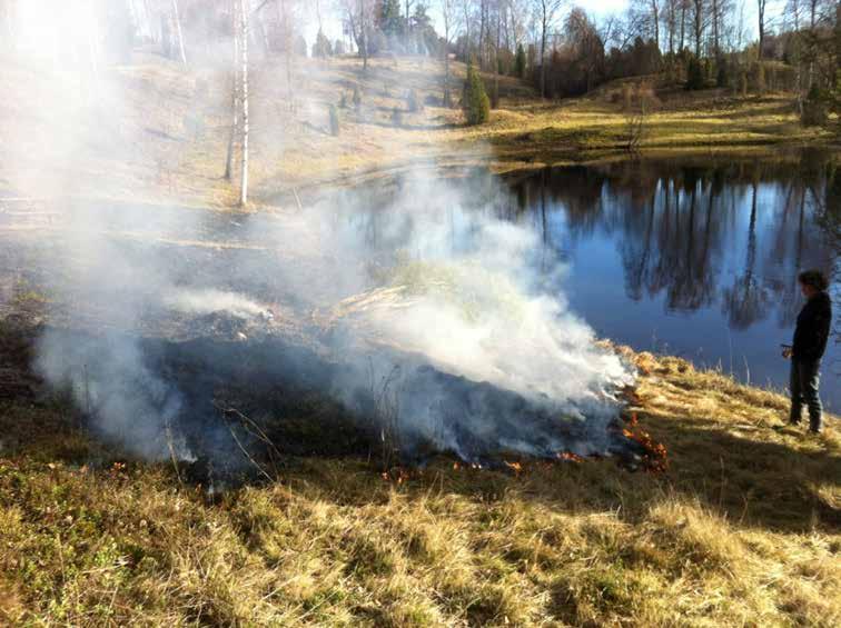 Varför kan det vara bra med ett betesavtal? Vid uthyrning respektive lån av bete är det bra att skriva ordentliga betesavtal.