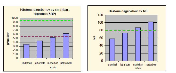 De bästa sätten att skydda träden är att stänga ifrån dem med hjälp av staket, sätta nät runt dem eller lägga ut stenar eller stockar runt stammarna så att hästarna inte når att gnaga på dem.