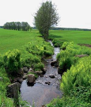 Miljörättsavdelningen