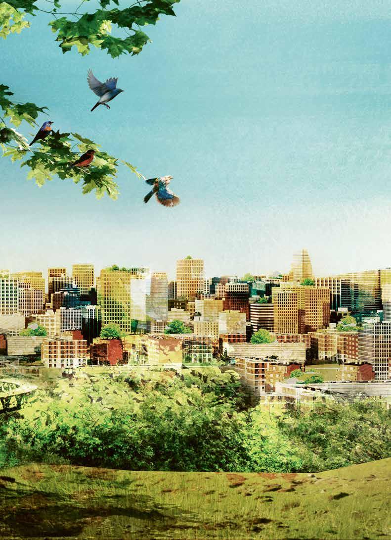 Framtidens samhällen och städer står inför förändringar med koppling till klimatomställning, urbanisering och digitalisering. För att hantera detta behövs en engagerad rådgivare med erkänd expertis.