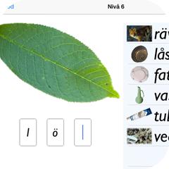 Eleven hör ett ord uttalas samtidigt som en bild och ordets samtliga bokstäver visas. Genom att dra i bokstaven hörs bokstavsljudet.