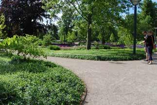 118 Perennmatta EXEMPEL Stadsparken, Lund Lundabornas gröna oas mitt i staden.