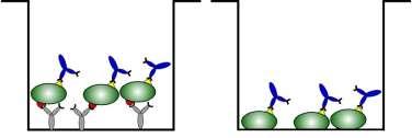 med specifika assyas Nya metoder: Capture ELISA