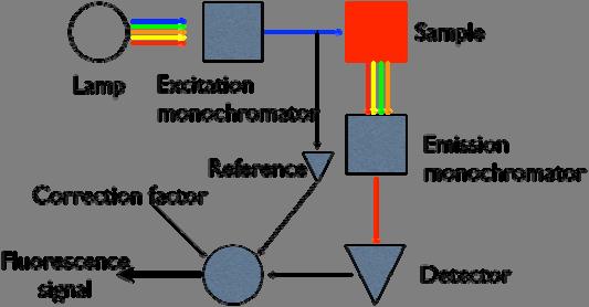 Fluorescensspektroskopi HCB 10/08 Spektrometerns uppbyggnad har behandlats på föreläsningen (se även Fig. 1).