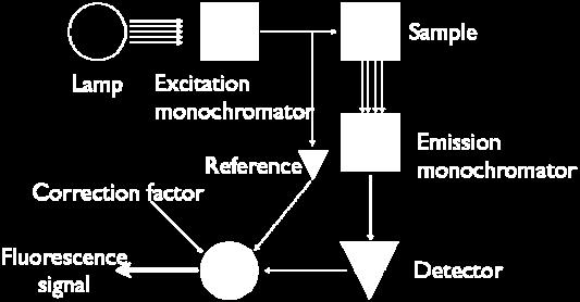 Figur 1: Ett schematiskt diagram över en emissionsspektrometer Den totala emissionen från ett prov bestäms av koncentrationen exciterade