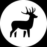TIPS: När du befinner dig i vyn för intressepunkter kan du trycka på skärmen för att se ytterligare information i den nedre raden, t.ex.