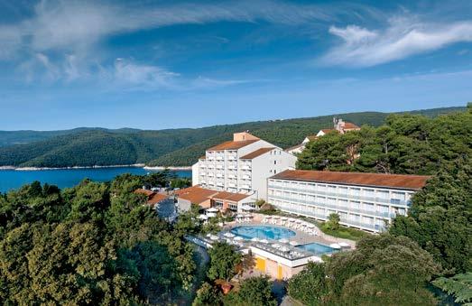 NS-100025 Idejna zasnova TOP Valamar hotel BREZPLAČEN TRANSFER DO PREKRASNE PLAŽE FRKANJ Rab, otok