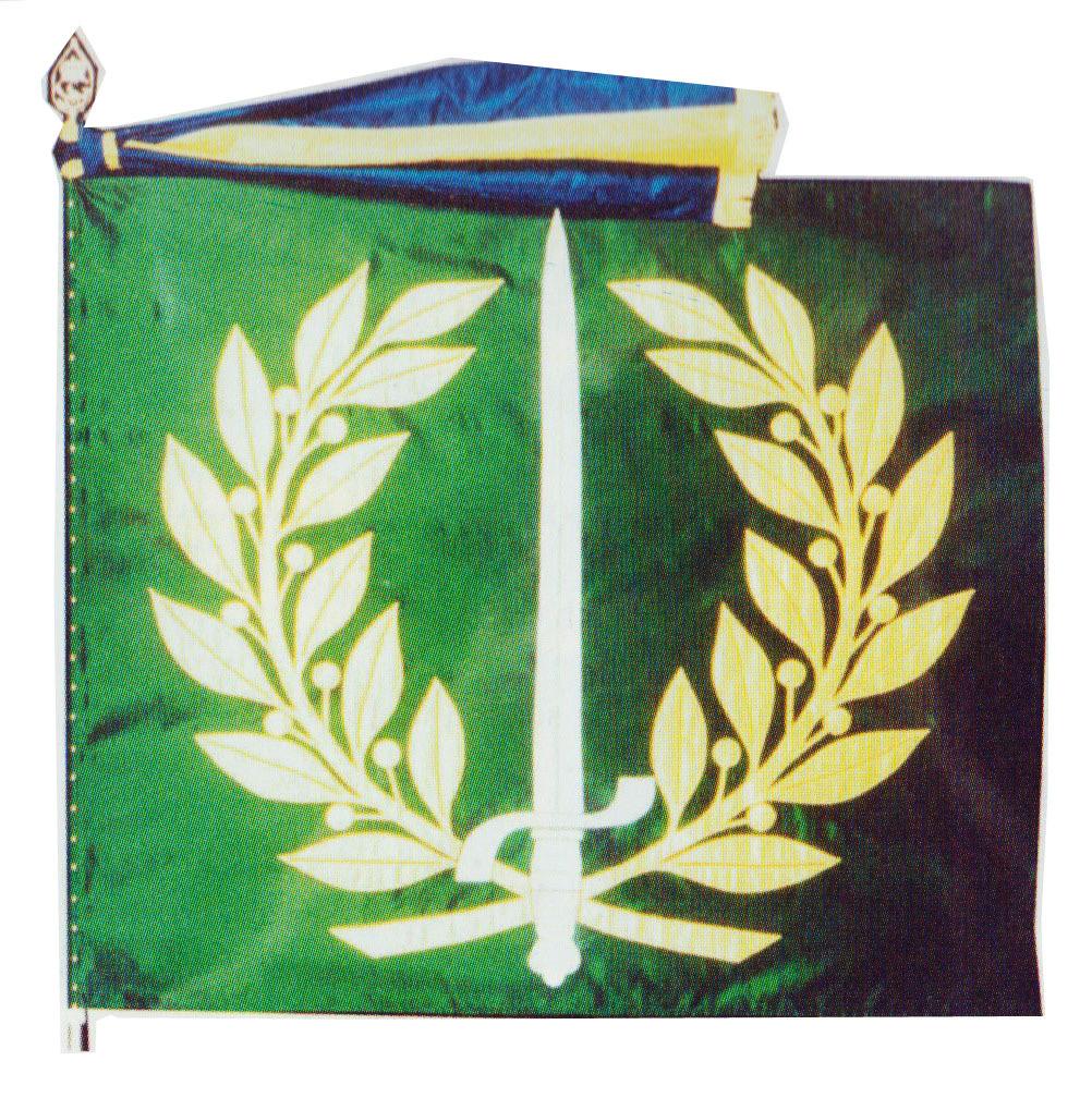 MILITARY ACADEMY, ÖSTERSUND (MHS Ö) Description of the MHS Ö colour On green cloth in the centre an erect white rapier of Gustaf II Adolf model surmounted an open yellow chaplet of laurels.