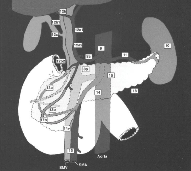 Bild 4. Lokalisering av de olika lymfkörtelstationerna enligt Japan Pancreas Society (JPS) (11, 12). 3 IV.