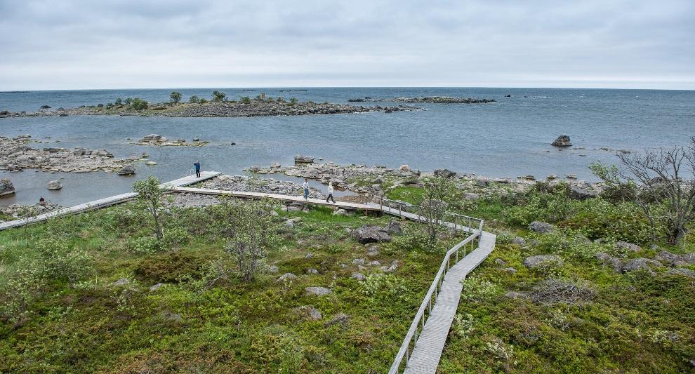 Ekosystemtjänster Ekosystemtjänster är de direkta bidrag som ekosystem (såväl naturliga som semi-naturliga) ger till den mänskliga välfärden.