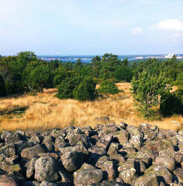 Naturreservat och annan spenat Trollskog, ängar eller utsikt från toppen? Vill du uppleva naturen till fots och vara vid havet utan att ligga på stranden?