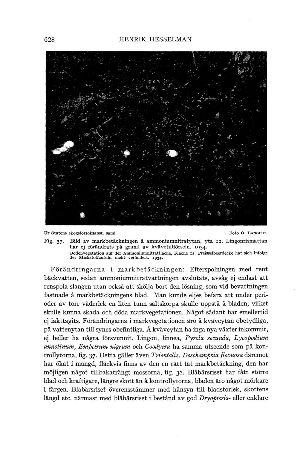628 HENRIK HESSELMAN Ur statens skogsförsl\ksanst. saml. Fig. 37 Foto o. l,anglet. Bild av markbetäckningen å ammoniumnitratytan, yta 12.