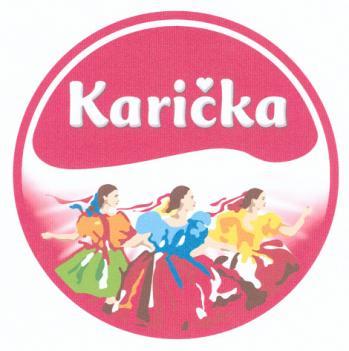 17 - Izolačné roletové profily; tesnenia dverí alebo okien; tesniace materiály; tesniace obloženia.