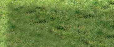2,73 m stene 2,03 m 28 mm 4,00 m x 3,04 m 4,47 m