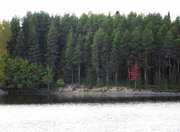 00-18.00 Föreningens fullmäktige väljs av lokalavdelningarna. Namnen på fullmäktige skall anmälas före mötet till SFAM:s kansli, e-post: kansli@sfam.se.