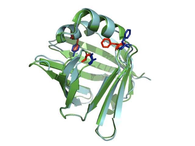 Fatty acid binding protein (FABP) Bakgrund: Fatty acid binding protein (FABP) är ett cytosoliskt protein som transporterar olika fettsyror.