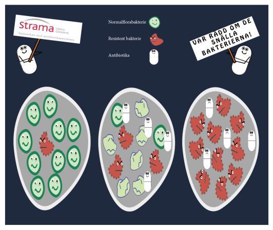 strama.se www.