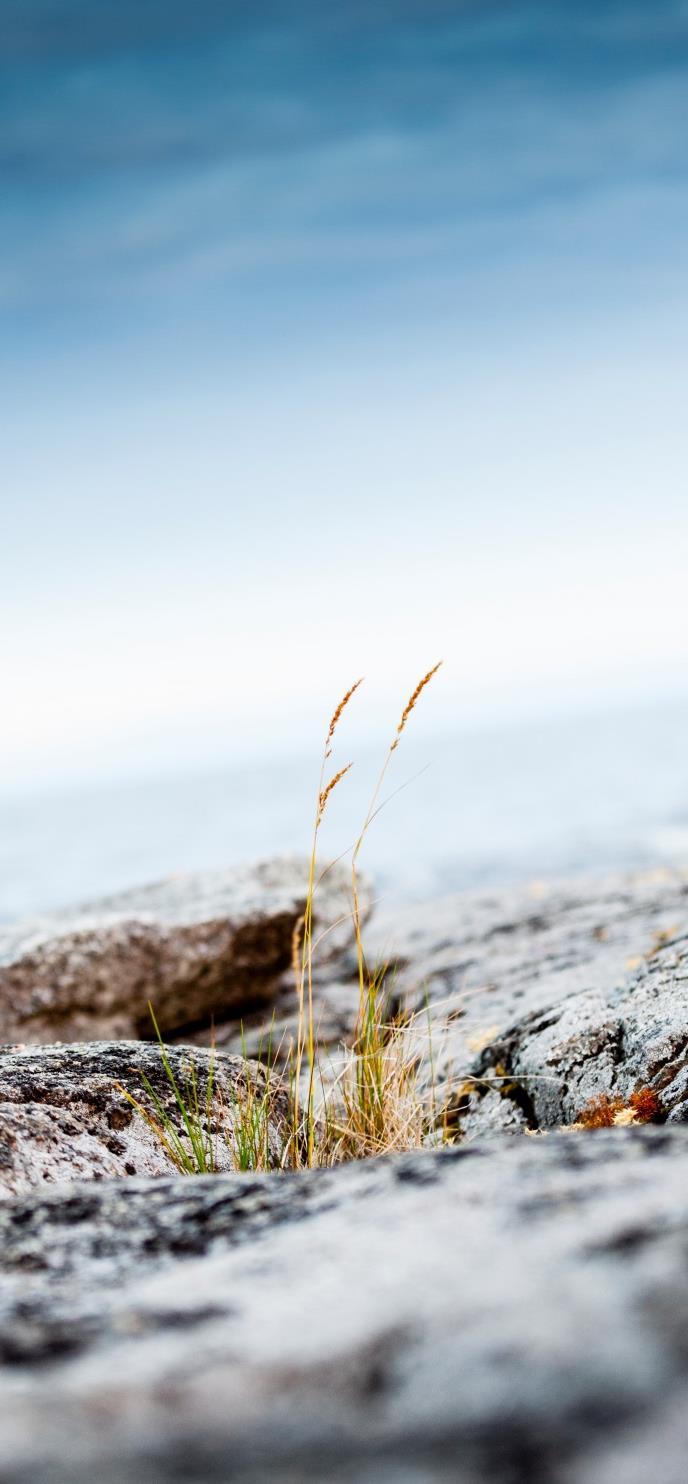 Annan hotfull händelse OBS! Om du behöver justera bilden inom ramen dubbelklicka på bilden och välj verktyget Beskär som dyker upp i menyn. Blivit kallad rasist. Blivit spottad emot på torgmöte.