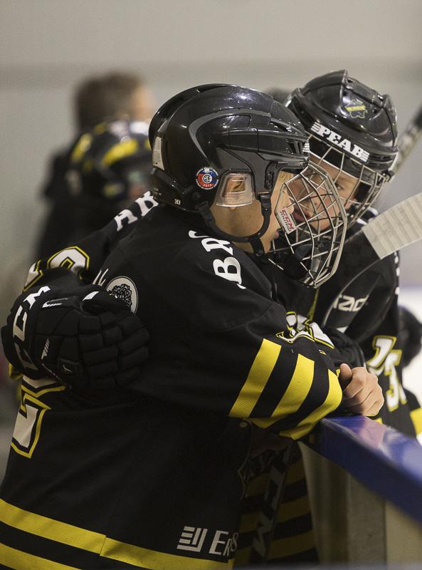 AIK Hockeys värdeord En del av vår värdegrund Ansvar betyder att vi stöttar varandra och vi står upp för varandra oavsett vem vi är.