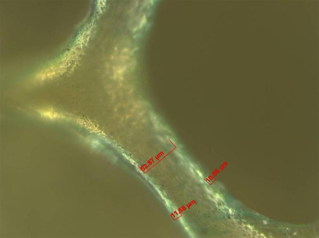 Testat inträngning ger 10-15µm lager runt cellvägg, viktigt att inte hålla för länge för bibehållen flexibilitet Annat