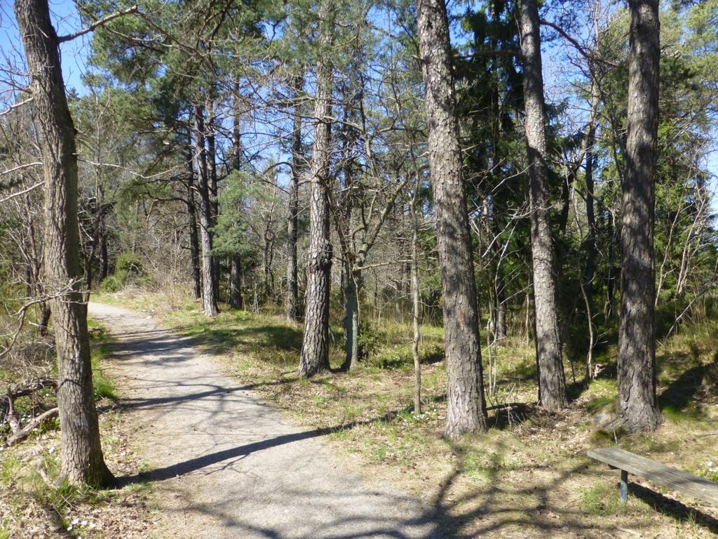 Sammanfattning En tennishall planeras att uppföras i ett markområde vid Värmdöleden norr om Ektorp, del av Sickla 41:2. På förekommen anledning har en naturinventering genomförts i området.