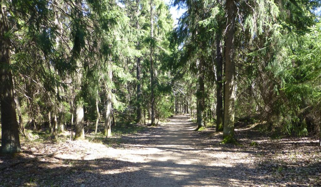 Vy från delyta 1. Promenadstråk som leder österut. Delområde 2 (klass 3) Området utgörs av översilningsskog och angränsande fuktskog.