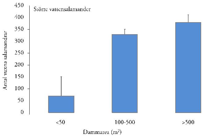 Figur 15. Medelantal (samt standardavvikelse) av vuxna större vattensalamandrar i vatten av olika storlek (sex olika vatten med reproduktion i närheten av Linköping).