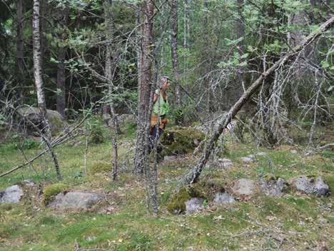 تجوال في رحاب ما قبل التاريخ قرب المدينة المكان رقم 2: غابة أوربي المكان رقم 2 غابة اوربي Årbyskogen يوجد في بلدية اسكيلستونا حوالي 2 500 قب ار ومقبرة تعود للعصر الحديدي.