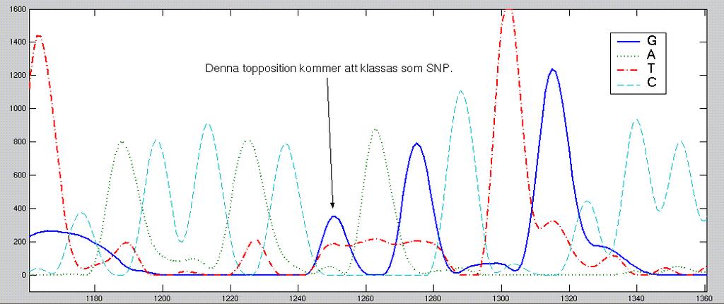 7 TÄNKBARA FÖRBÄTTRINGAR 6 Utvärdering av resultat Metoden lyckas klassa 90 % av SNParna rätt. Däremot blir det ungefär 1,4 felklassningar per riktig SNP.