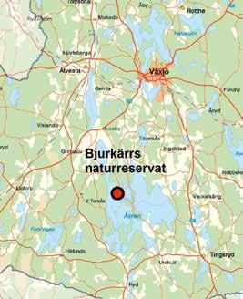 figur 2. Bjurkärrs naturreservatet ligger vid Åsnen söder om Växjö i Kronobergs län. På flygfotot anges reservatsgränsen med en streckad vit linje.
