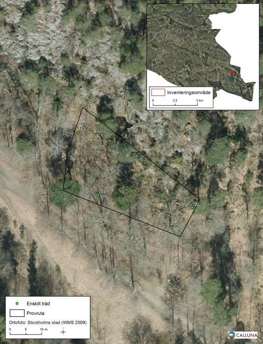 Norra Flaten, Flatens naturreservat (provyta nr 5) En sydväst-vänd brant strax norr om kanten till sjön Flaten. Detta är en ganska fuktig miljö med många olika trädslag.