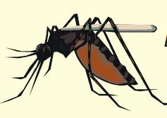 Kausalitet? Causation. The relation between mosquitos and mosquito bites.