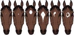 Fredag 16 mars 16.00-17.00 Sadling och tränsning Kom och träna på att göra iordning din häst inför ridning. Emily finns i stallet och hjälper dig och förklarar hur utrustningen ska sitta.