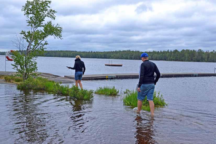 4 Vi hjälper dig Lagar och