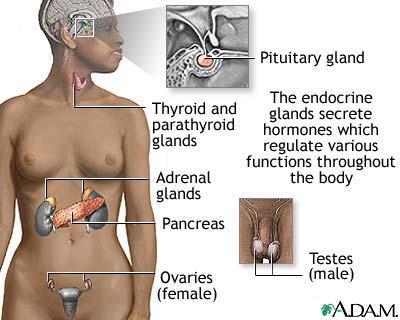 Ämnesområden inom endokrinkirurgin Thyroidea