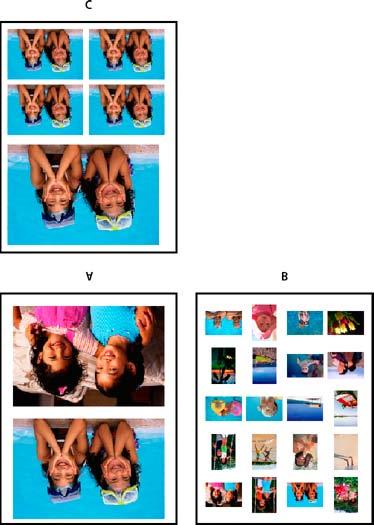 Olika utskriftsalternativ A. Enskilda foton B. Kontaktkarta C. Bildpaket För att byta bilder i en layout lägger du en bild över en annan bild.