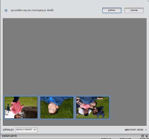 Exportera foton till Adobe Revel Högst upp Du kan exportera foton till ett bibliotek i Adobe Revel från Elements Organizer. 1.