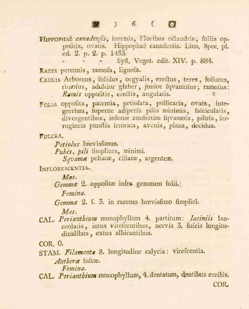 W) 6 ( W "HIPPOPHAfc csnadenfis, inermis, Floribus odandris, foliis op. pofitis, ovatis. Hippophae canadenlis. Linn. Spec. pl. ed. 2. p. 2. p. 1453. Sytt. Veget. edit. XIV. p. 884.