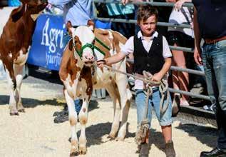 Bästa Holstein var 1023 Lona (andrakalvare), ägd av Albert Kuiper, Tingvalls gård.