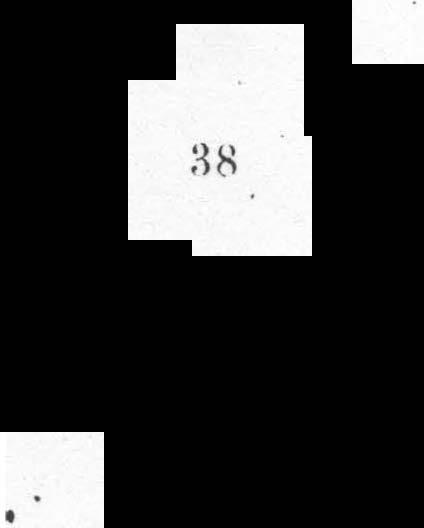 1 1 87H H u: nm Thr ngsc o J7 Urnpto then ; gouo-{ crc sc B d V; o s Ze tsch r: d Dcutsch bgo Tof X fg 28 XX I ; s 542 P I X X g 2 0 30 :j 11o 1/>ff f11 uncuau s 1 uwmti I 1