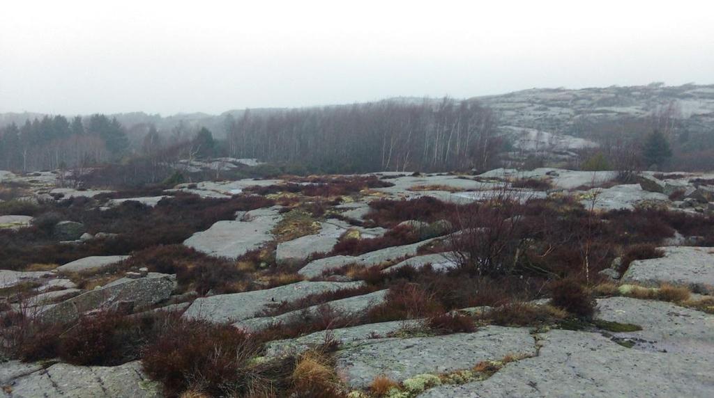 Naturinventeringen (utförd av Eko Natura, 2010) i området har visat att dammen och vegetationen i omgivningen runt vattensamlingen har ett naturvärde motsvarande klass IV och ska därför