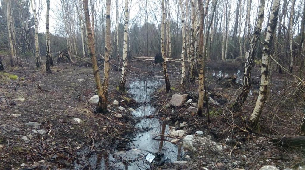 Ut från dammens norra del rinner vattnet först i ett naturligt mindre dike som mynnar ut i ett öppnare blött