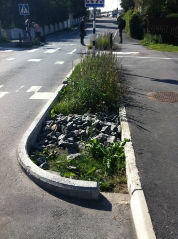 6.2.3 Rain garden En så kallad rain garden utformas så att dagvatten lätt kan avrinna dit.