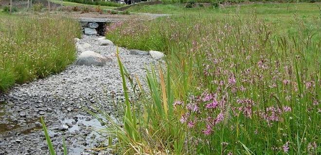 För att undvika detta läggs dräneringsledningar kopplade till ledningsnätet under anläggningen. Figur 11. Krossmaterial som kan läggas vid parkeringsytor samt gräsarmering. 6.2.