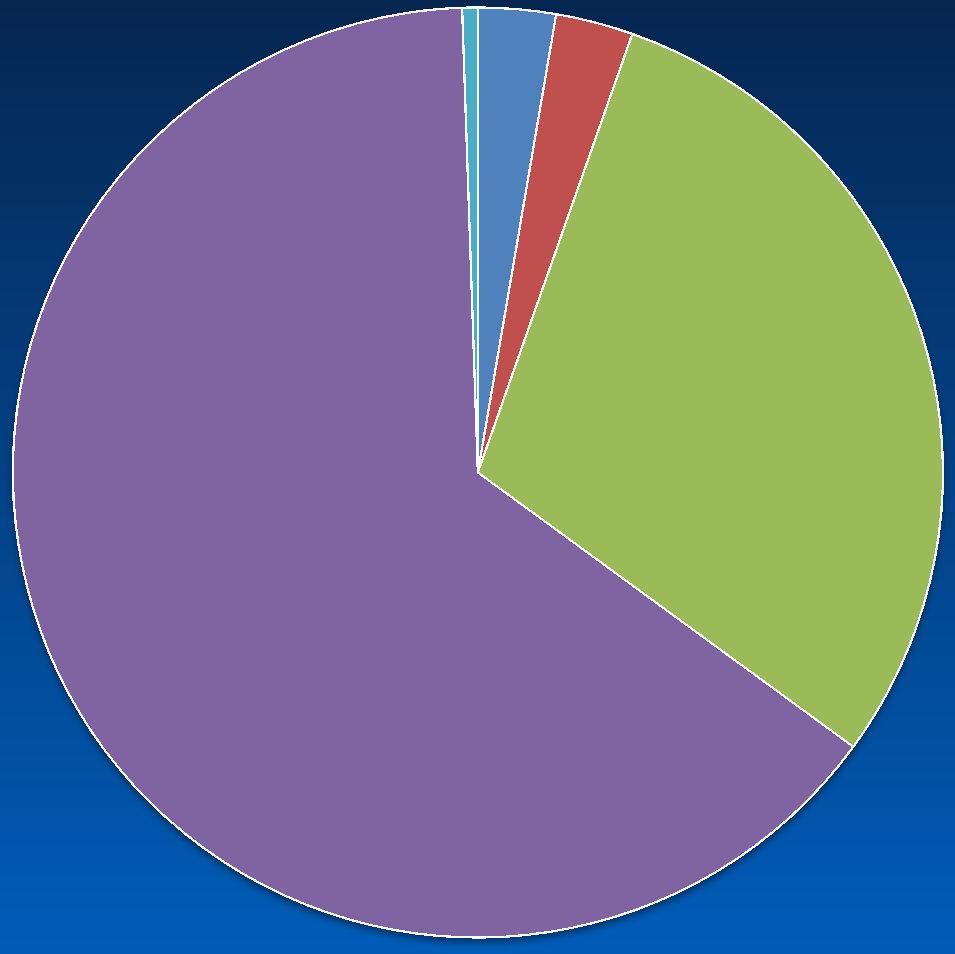 STATISTIK 4; 0% 20; 3% 20; 3% 220; 30% 0. Inget konserveringsbehov 0.5. mindre åtgärdsbehov, förebyggande vård 1.