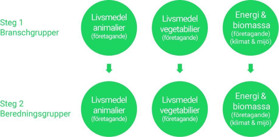 Innehåll idéskiss: Projektbeskrivning om högst 3 sidor, inklusive beskrivning av projektkonstellation och rambudget Projektbeskrivning skrivs på svenska Innehåll fullskalig ansökan: