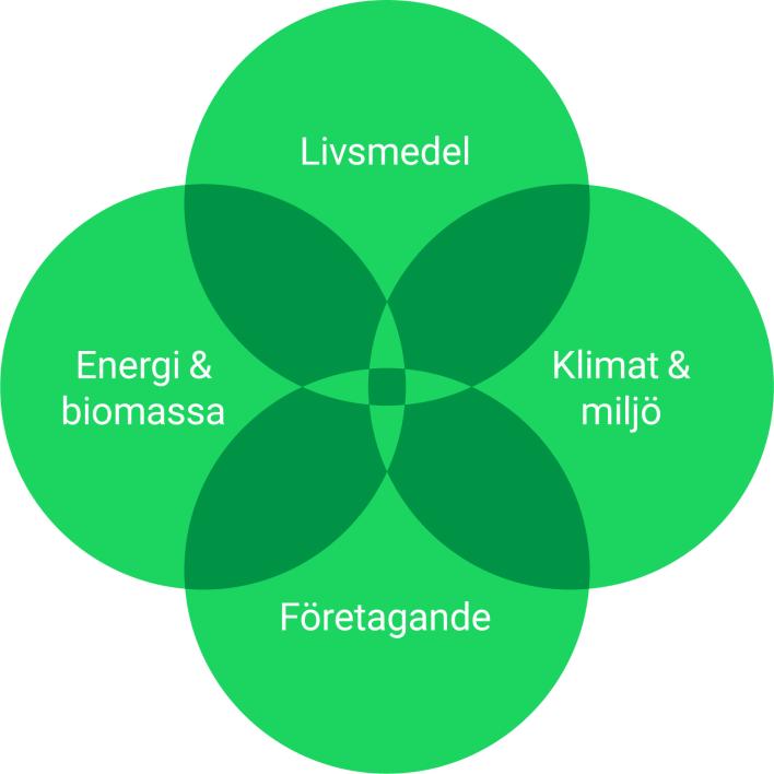 Övergripande fokusområden Stiftelsen Lantbruksforskning prioriterar forskning, konceptutveckling och innovation inom fyra tematiska fokusområden: Livsmedel, energi & biomassa, företagande samt klimat