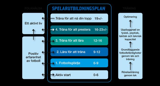 Rekommendationer Följande rekommendationer gäller i 7 mot 7 fotbollen: - Se till så att spelarna får möjligheten att prova att spela på olika positioner i laget.