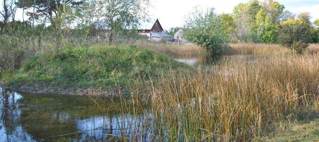 Fastställande och implementering En politiskt beslutad vision och strategi i enighet med Region Gotlands utvecklingsmål blir en grund för det dagliga arbetet.